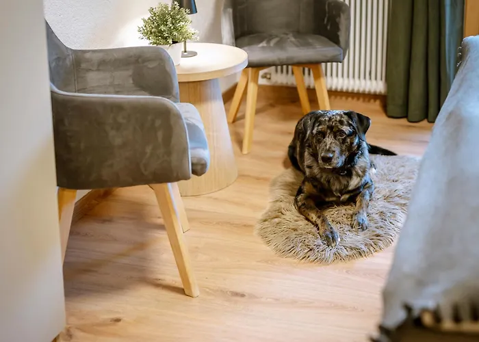 Haus Tisch Шрунс