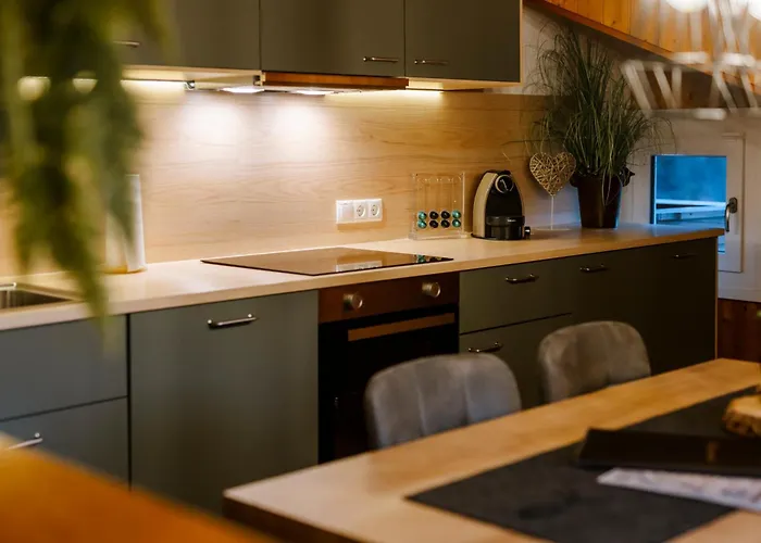 Апартаменты Haus Tisch Шрунс